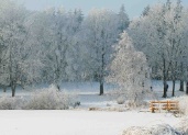 Kurpark Hahnenklee im Winter