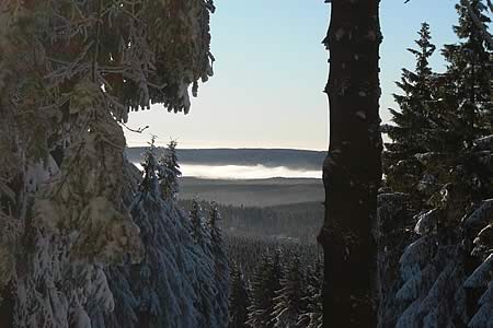 Winterabend in Hahnenklee