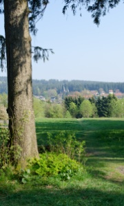 Wanderweg mit Aussicht unmittelbar am Hotel Waldrausch